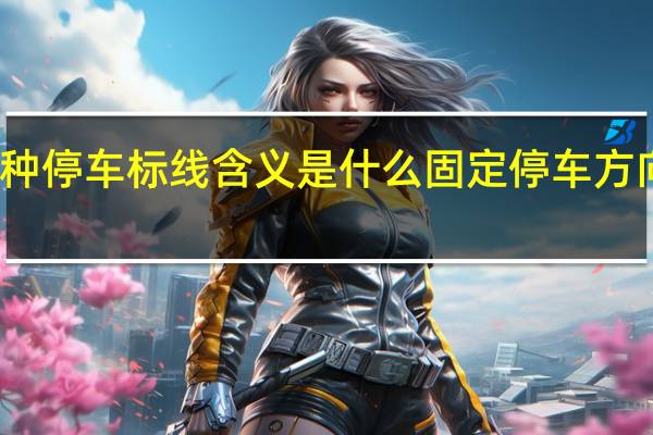 这种停车标线含义是什么固定停车方向停车位（这种停车标线含义是什么）