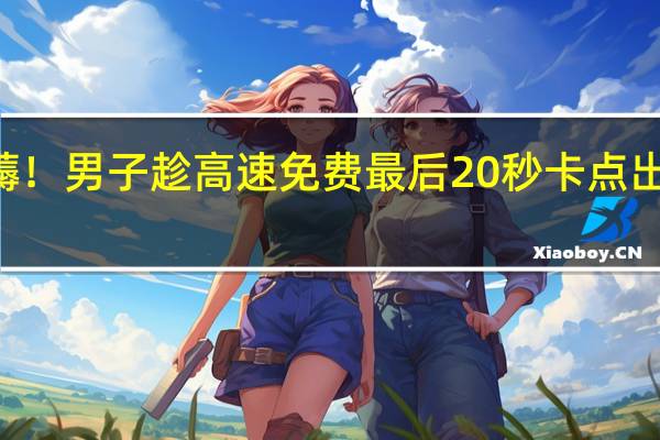 这羊毛必薅！男子趁高速免费最后20秒卡点出站 省下100多元：直呼很开心