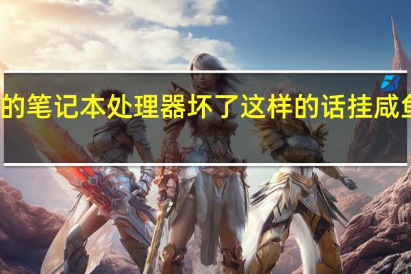 这配置的笔记本处理器坏了这样的话挂咸鱼能卖多少呀