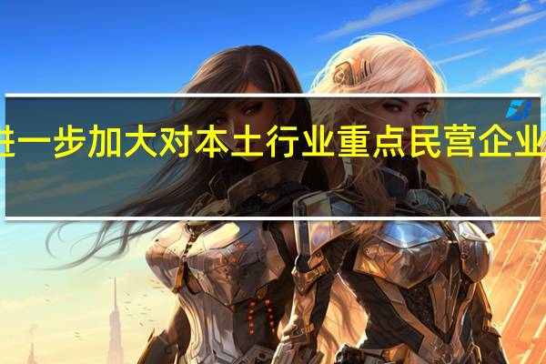 进一步加大对本土行业重点民营企业的支持