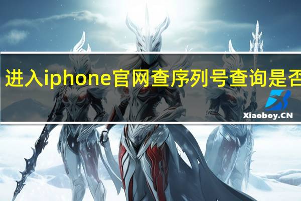 进入iphone官网查序列号查询是否激活（进入iphone官网查序列号）