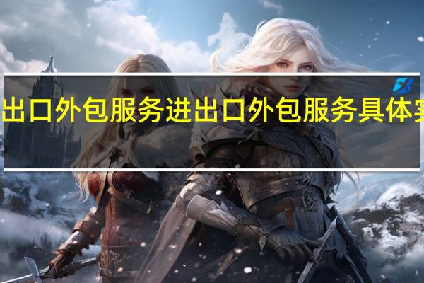 进出口外包服务进出口外包服务具体实施内容