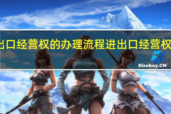 进出口经营权的办理流程 进出口经营权怎么办理