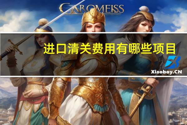 进口清关费用有哪些项目（进口清关费用有哪些）