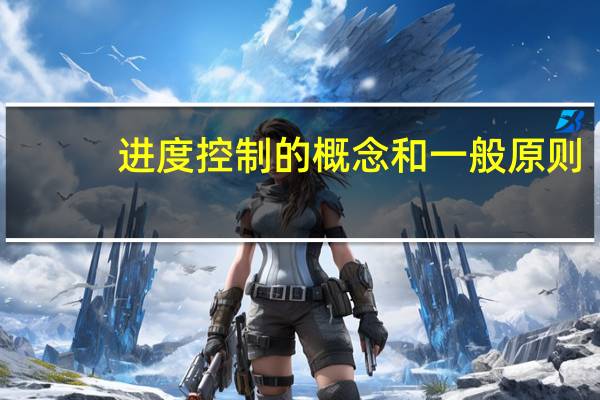 进度控制的概念和一般原则