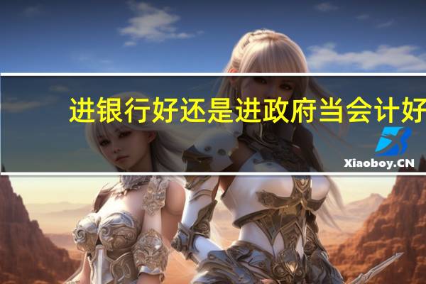 进银行好还是进政府当会计好