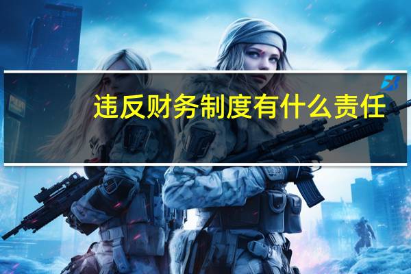 违反财务制度有什么责任