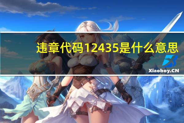 违章代码12435是什么意思