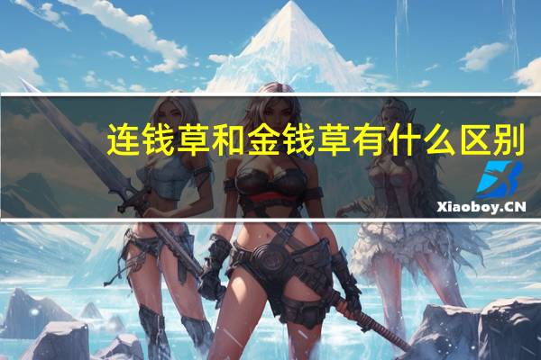 连钱草和金钱草有什么区别
