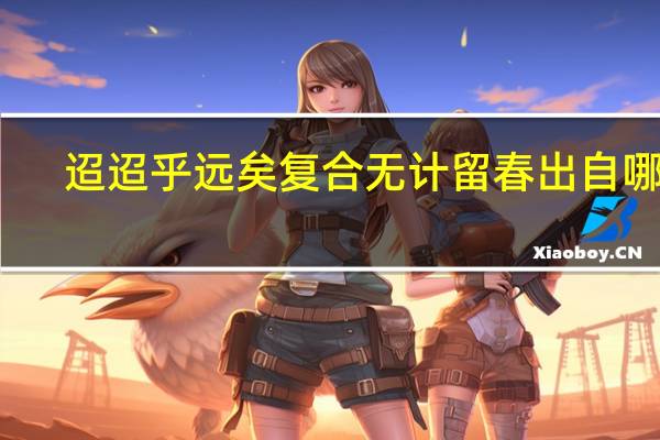 迢迢乎远矣复合无计留春出自哪里