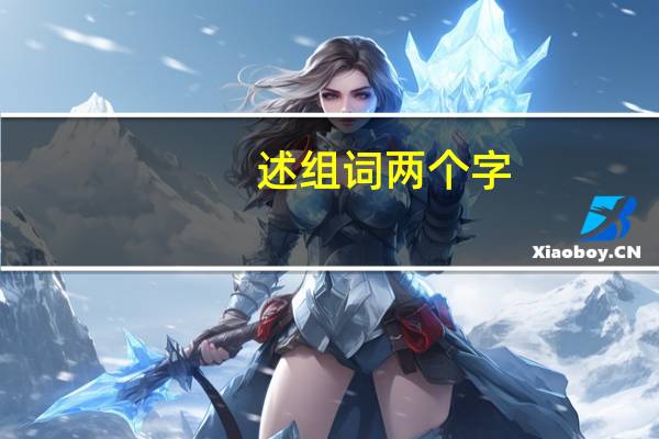 述组词两个字（述组词）