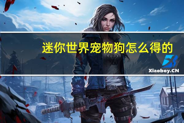 迷你世界宠物狗怎么得的