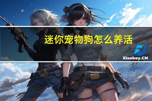迷你宠物狗怎么养活