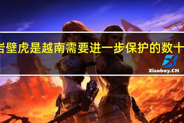 迷幻岩壁虎是越南需要进一步保护的数十种物种之一