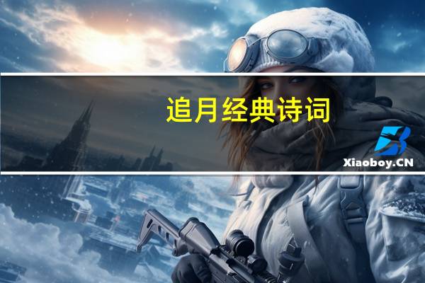 追月经典诗词