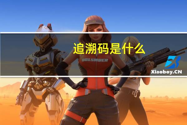 追溯码是什么
