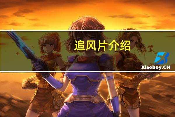 追风片介绍