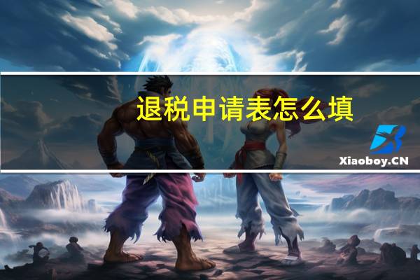 退税申请表怎么填(退税申请表)