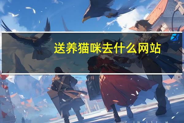 送养猫咪去什么网站