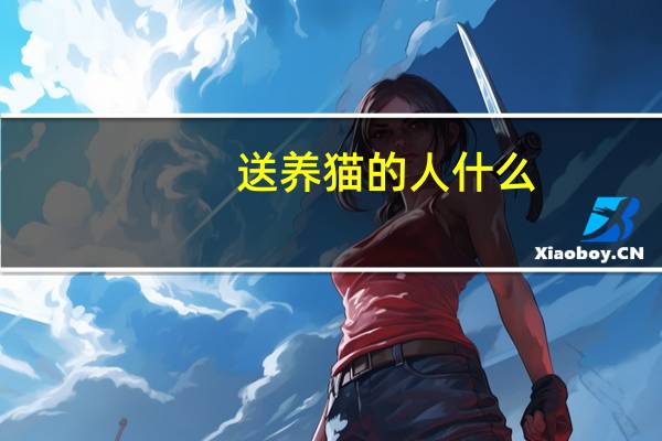 送养猫的人什么
