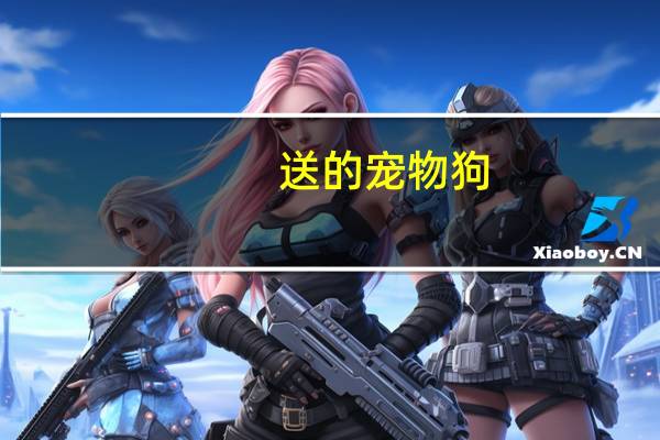 送的宠物狗