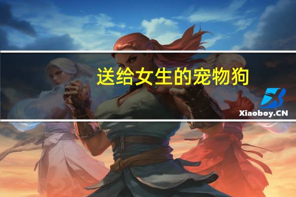 送给女生的宠物狗