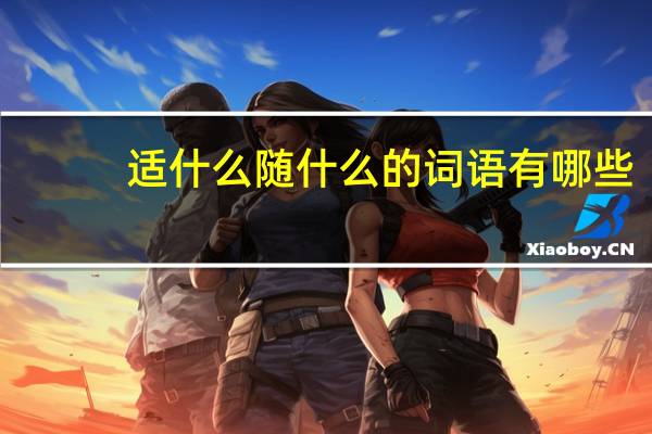 适什么随什么的词语有哪些?