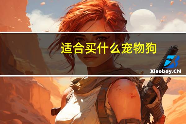 适合买什么宠物狗