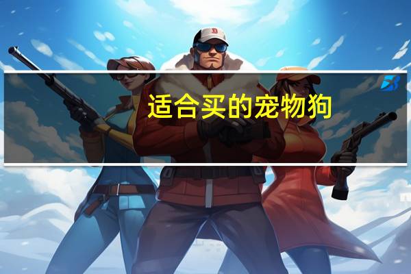 适合买的宠物狗