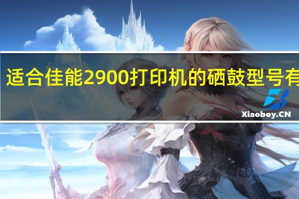 适合佳能2900打印机的硒鼓型号有哪些?