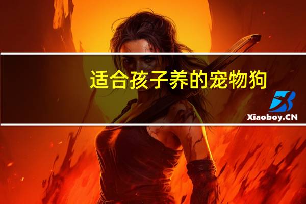 适合孩子养的宠物狗