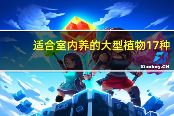 适合室内养的大型植物17种