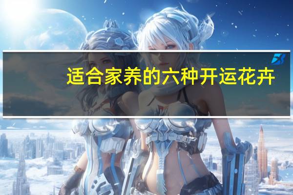 适合家养的六种开运花卉:想开运