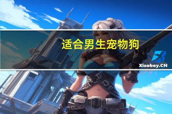 适合男生宠物狗