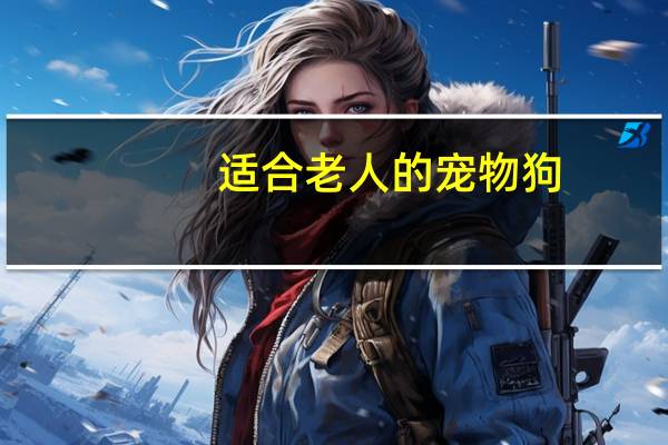 适合老人的宠物狗