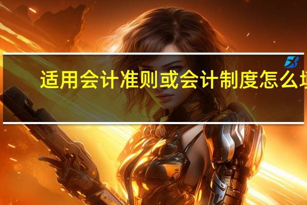 适用会计准则或会计制度怎么填