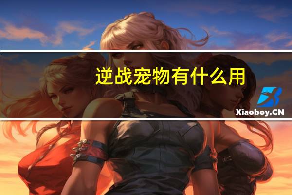 逆战宠物有什么用