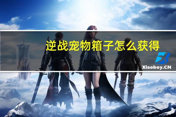 逆战宠物箱子怎么获得