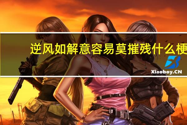 逆风如解意容易莫摧残什么梗（逆风如解意容易莫摧残什么意思）