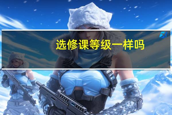 选修课等级一样吗