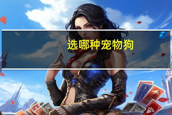 选哪种宠物狗