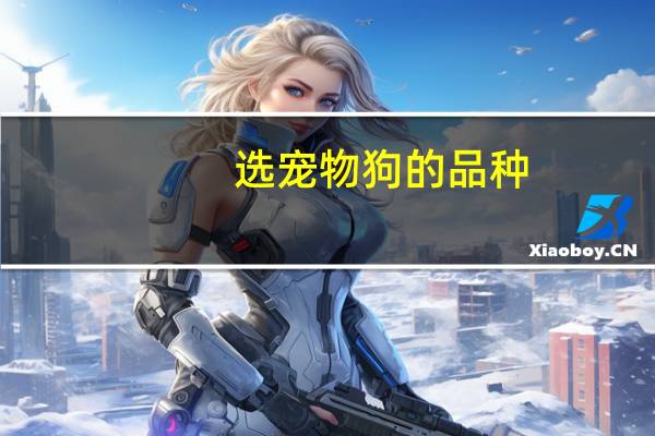 选宠物狗的品种