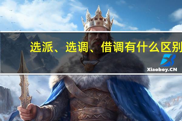 选派、选调、借调有什么区别