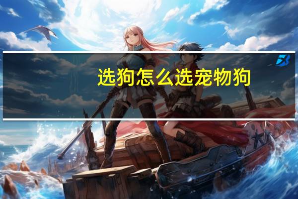 选狗怎么选宠物狗