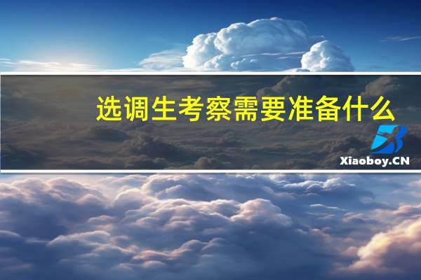 选调生考察需要准备什么