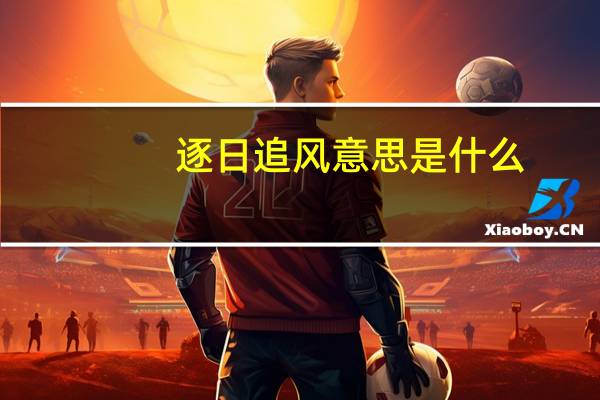 逐日追风意思是什么