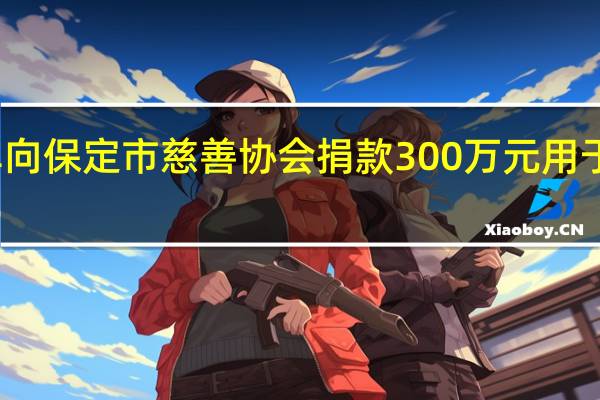 途虎养车向保定市慈善协会捐款300万元用于防汛救灾工作