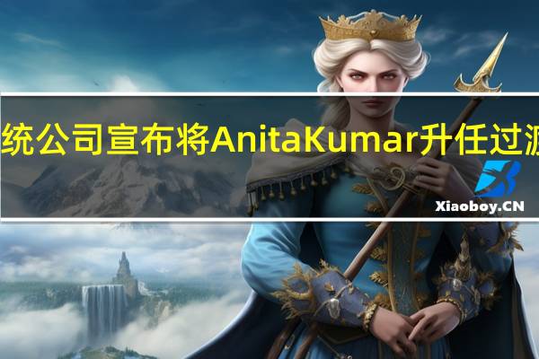 通讯系统公司宣布将Anita Kumar升任过渡网络总经理