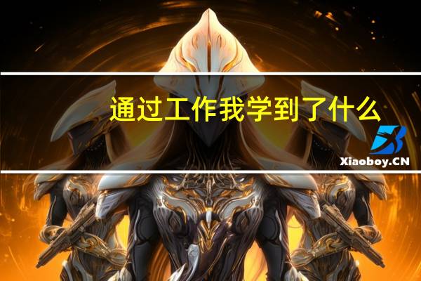 通过工作我学到了什么