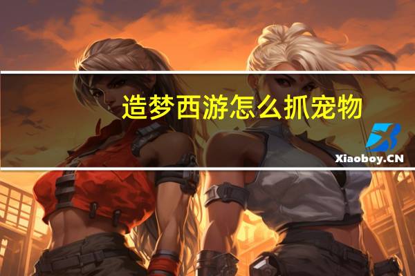 造梦西游怎么抓宠物